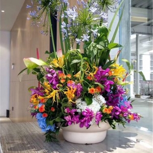鲜花