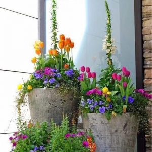 鲜花组合
