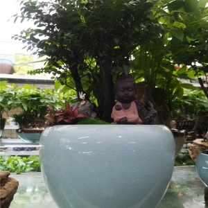 绿植