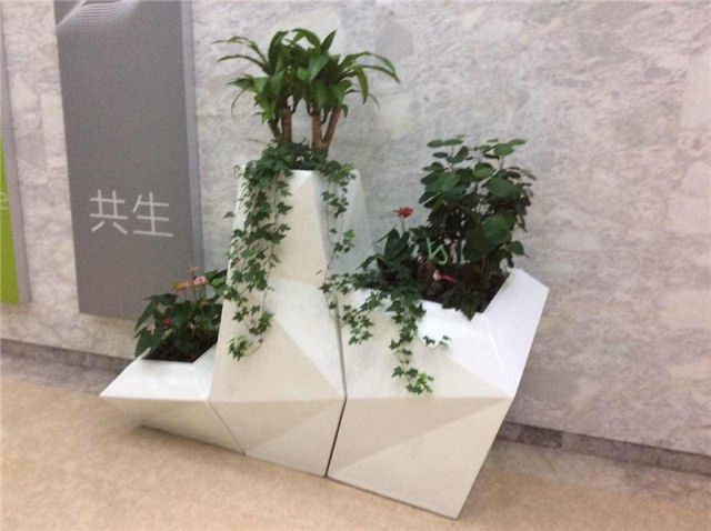 绿植