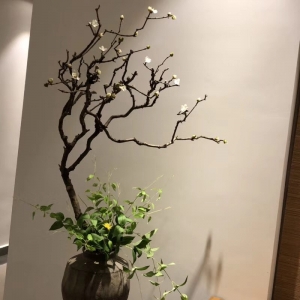 绿植
