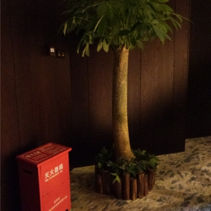 单杆发财树
