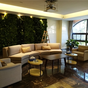 植物墙